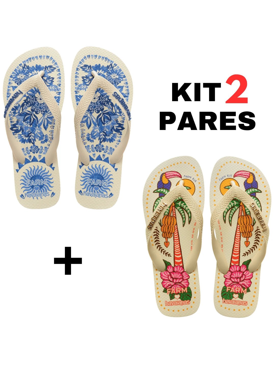 Kit 2 Pares Chinelo Tropical - Rasteirinha Chic