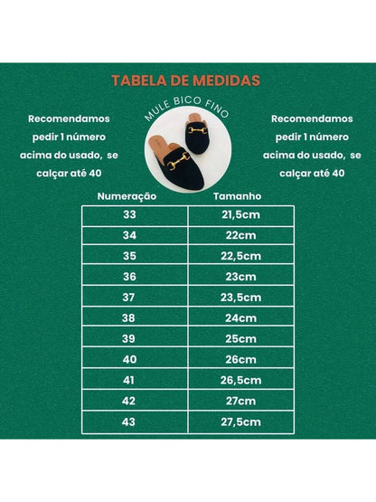 Mule Feminina Premium RC98241 - Rasteirinha Chic