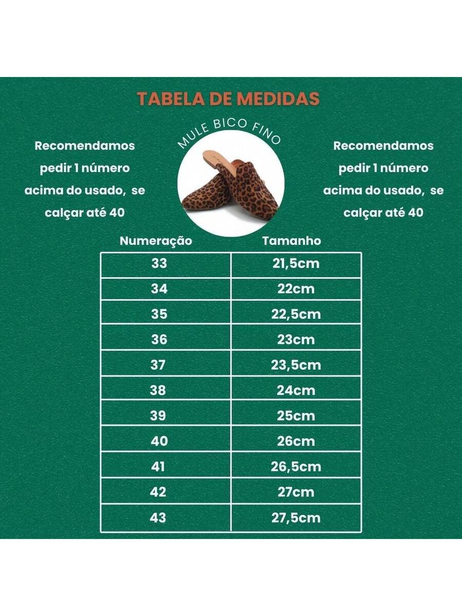 Mule Feminina Premium RC98241 - Rasteirinha Chic